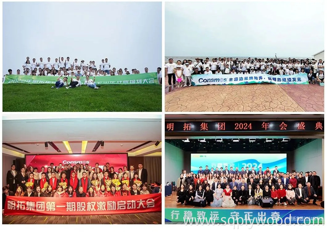 Linyi Factory 2-25mm Melamine Slatwall MDF Fiber Board Slot/Slotted Plain MDF for Furniture